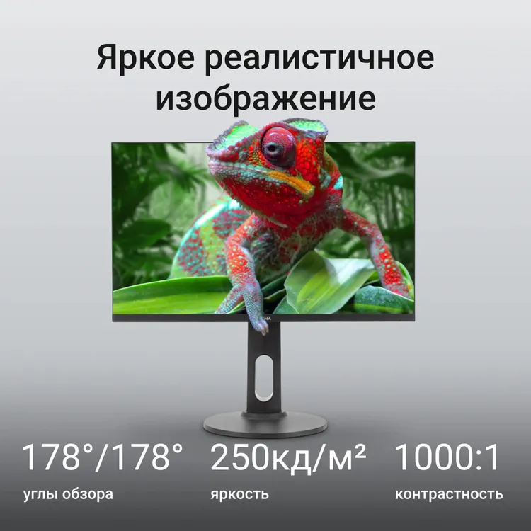 Digma Progress 24P505F демонстрация яркого изображения хамелеона, углы обзора 178°, яркость 250 кд/м², контрастность 1000:1
