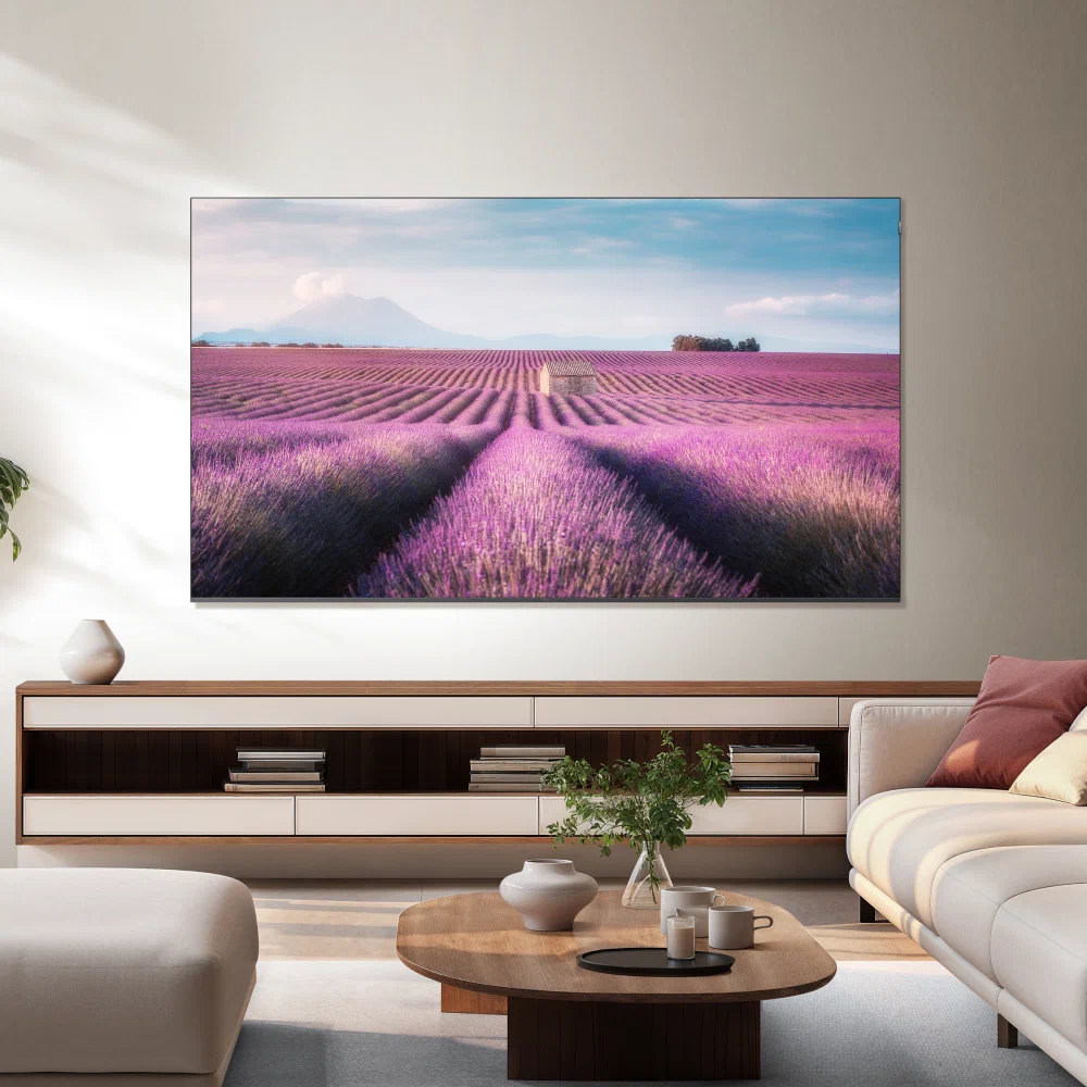 TCL 75C6K &mdash; функциональность Smart TV, игровой режим и тюнер DVB