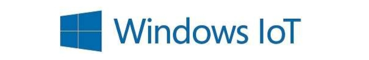 Microsoft Windows 11 IoT Ent LTSC 2024 — логотип операционной системы для встроенных корпоративных устройств